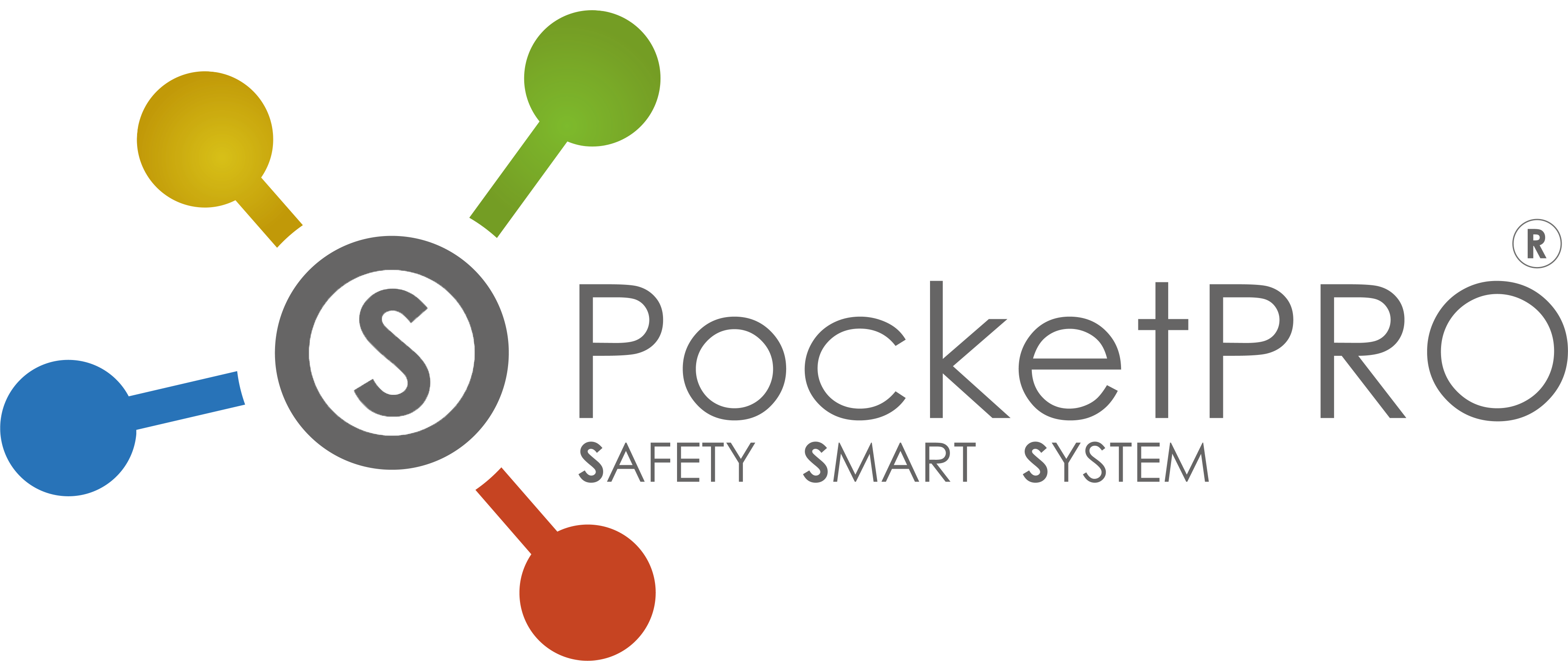 Logo PocketPRO