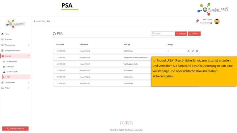 PocketPro Präsentation ausführlich-page-039